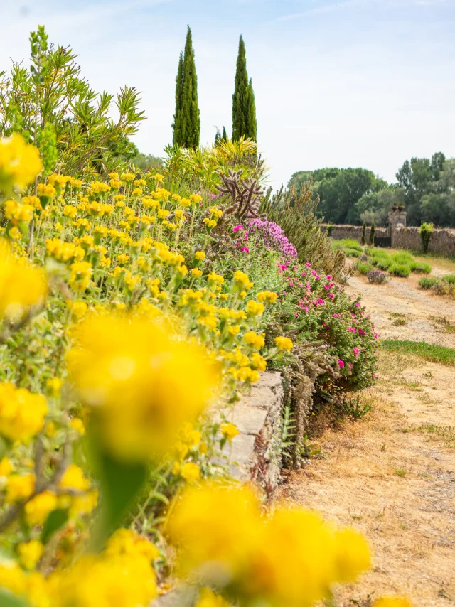 Jardin Méditerranéen de Sainte-Gemmes-sur-Loire prise au Printemps / Copyright Dorothée Mouraud - Destination Angers