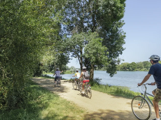 Cycling in Angers - Bike Tour on the Île Saint-Aubin