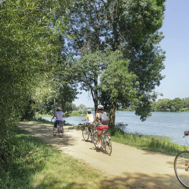 Ciclismo en Angers - Recorrido en bicicleta por la Île Saint-Aubin