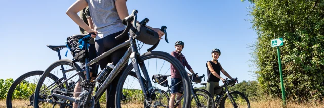 Gravel tour Vignoble Mouraud