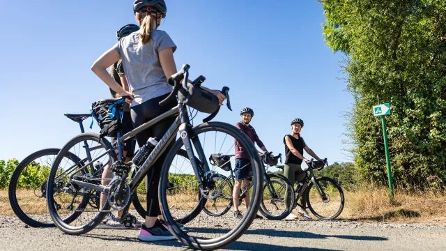 Gravel tour Vignoble Mouraud