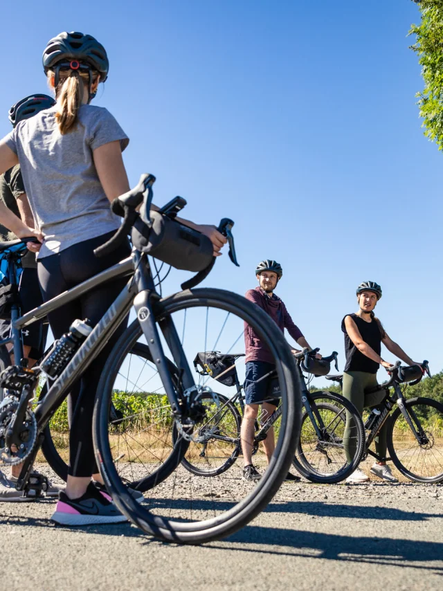 Gravel tour Vignoble Mouraud