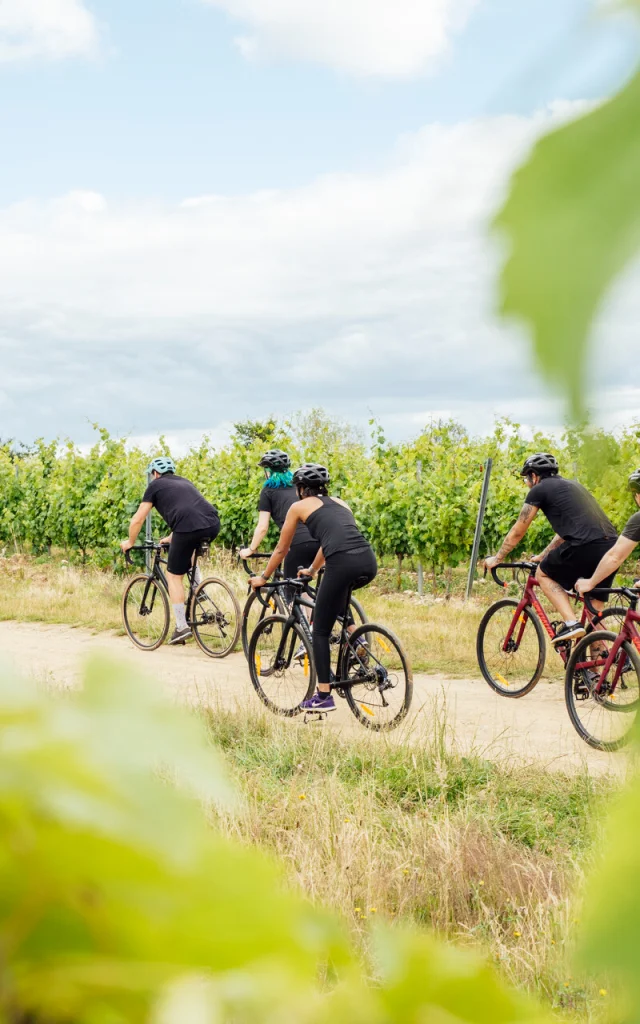 Gravel bike in the vineyards