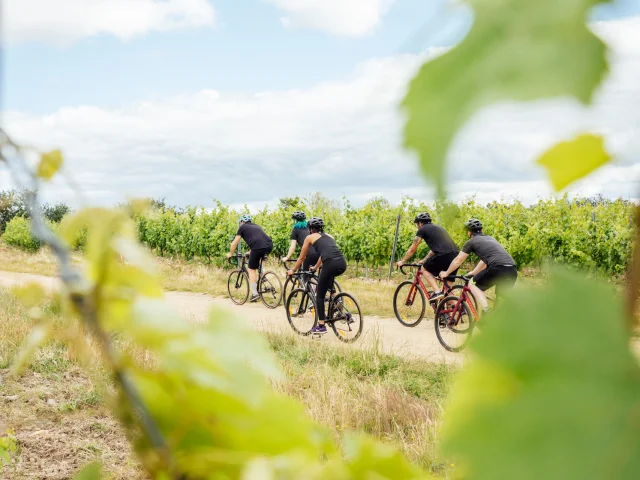 Gravel bike in the vineyards