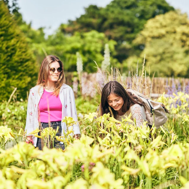 2 jeunes femmes sentent les plantes dans le jardin