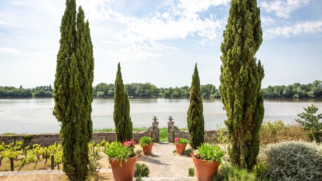 Allée de cyprès du jardin qui descend vers la Loire au dernier plan