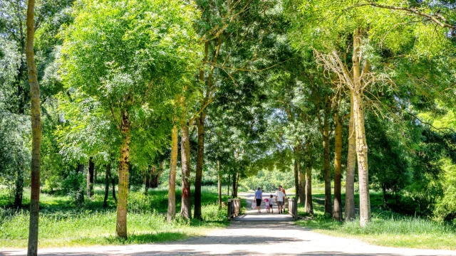 Parc Balzac D Mouraud 