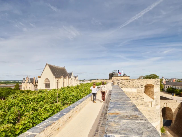 Remparts Chateau Angers Lamoureux