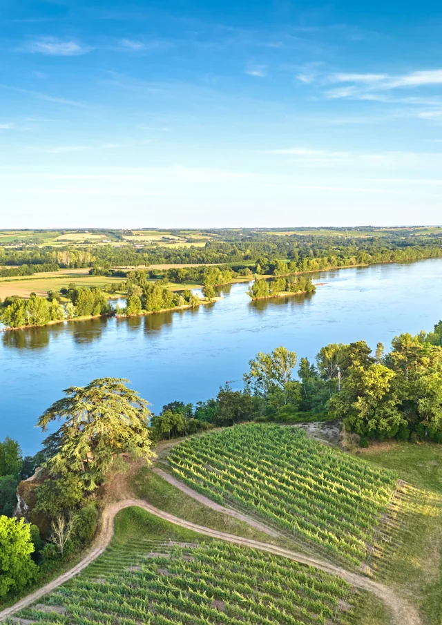 Vue aérienne sur les vignes et la Loire