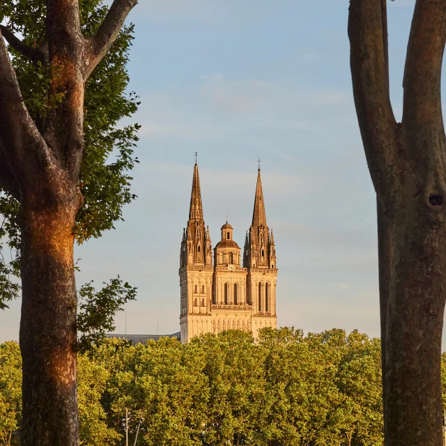 Cathedrale Saint Maurice Angers C Alexandre Lamoureux