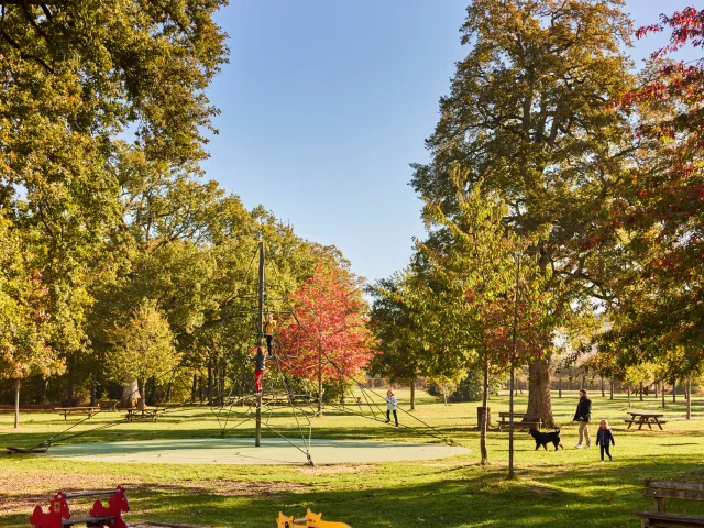 Parc Pignerolle Automne Copyright Alexandre Lamoureux