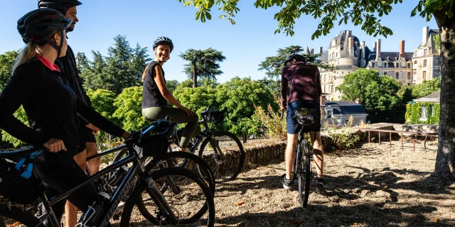 Vue sur le Château de Brissac