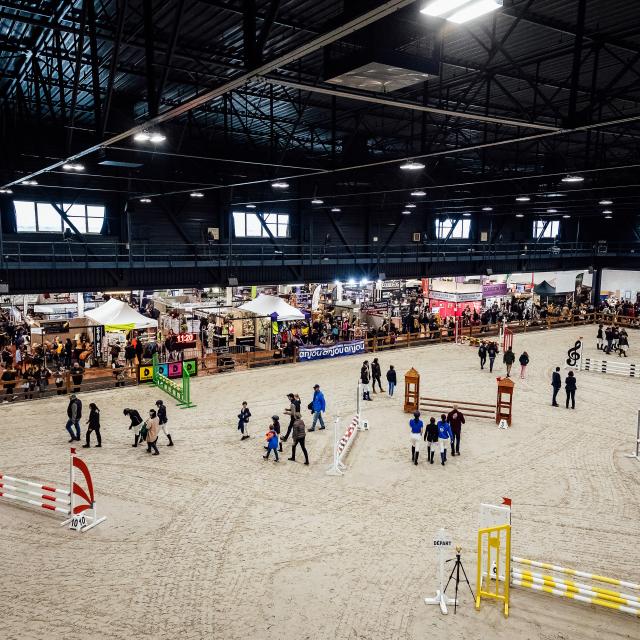 Salon du cheval 2018 - Parc des expositions d'Angers