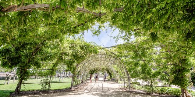 promenade Jean Turc à Angers