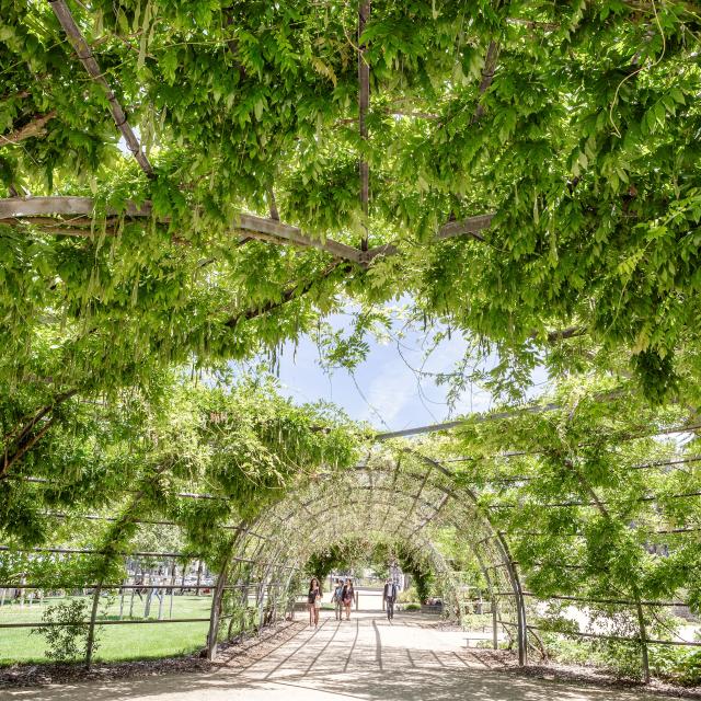 promenade Jean Turc à Angers