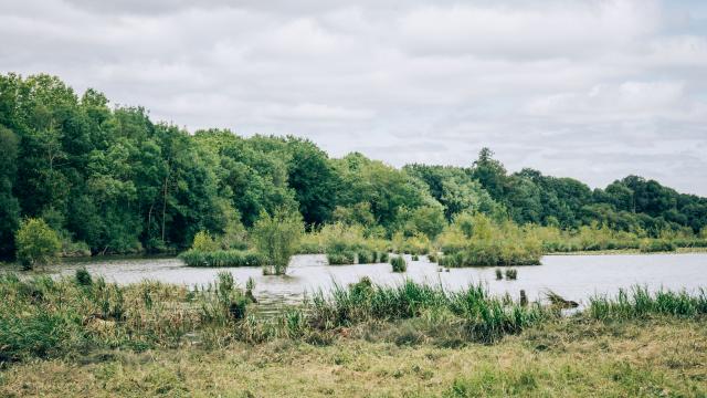 Vue sur la Mayenne à Montreuil Juigné